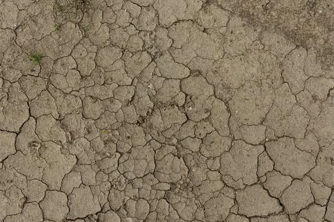 Soil cracked by drought. Photos