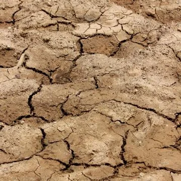 Soil cracked 스톡 사진