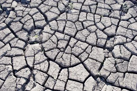 Soil cracked Stock Photos