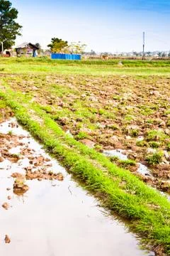 Soil cultivation. Stock Photos