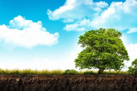 Soil deep layers cross section イラスト素材