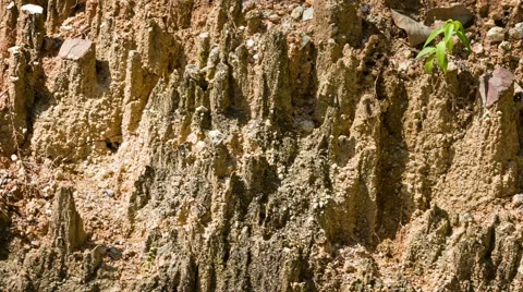 Soil diffuse by rain and sun-dried Stock Footage 49643885