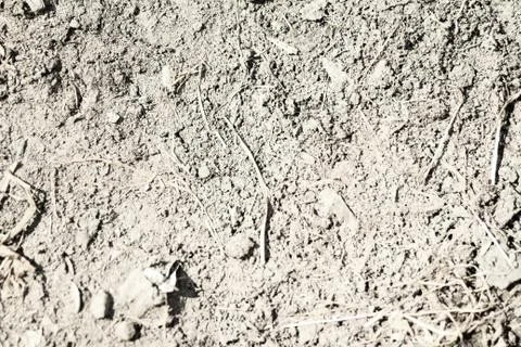 Soil erosion. drought Stockfoto's