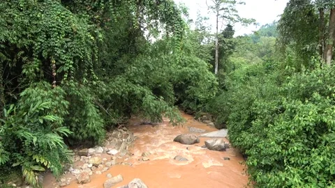 Soil erosion, Malaysia Stock Footage 140553675