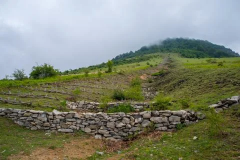 Soil erosion mitigation Foto stock