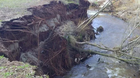Soil erosion by a river with exposed tree roots Stock Footage 304317786