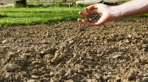 Soil falling from hand Stock Footage 62429781