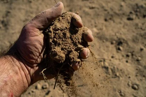 Soil in Farmers hand. Soil testing before planting. Healthy soil for farming Stock Photos