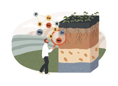 Soil fertility isolated concept vector illustration. Illustrazione stock