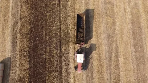 Soil fertilization with tractor manure spreaders Видео 135301097