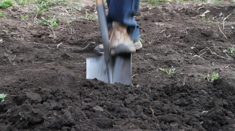 Soil with foot Stock Footage 37316131