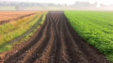 Soil Stock Footage 10606005