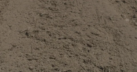 Soil Stock Footage 134169301
