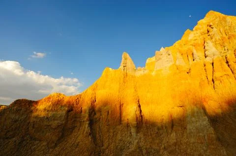 Soil forest Stock Photos