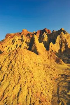 Soil forest Stock Photos