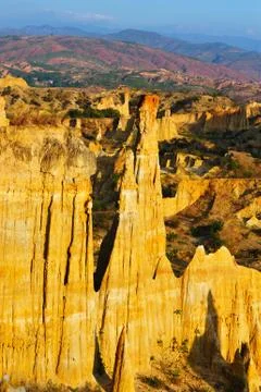 Soil forest Stock-Fotos