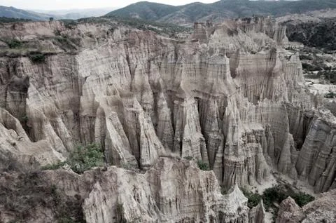 Soil forest Stock Photos