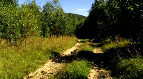 Soil forest road Stock Footage 69055874