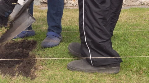 Soil garden timelapse Stock Footage 194269902