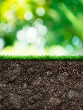 Soil with grass Stock Photos