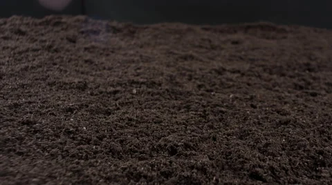 Soil ground 4k Stock Footage 50310148