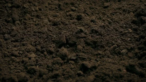 Soil Ground Closeup Moving Shot Stock Footage 127171375