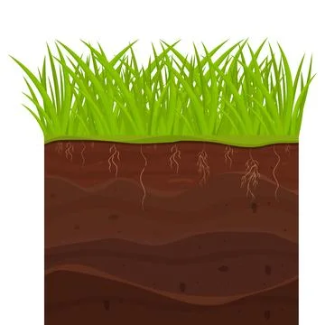 Soil, ground with layers, grass roots and stones, earth sections in cartoon Illustrazione stock