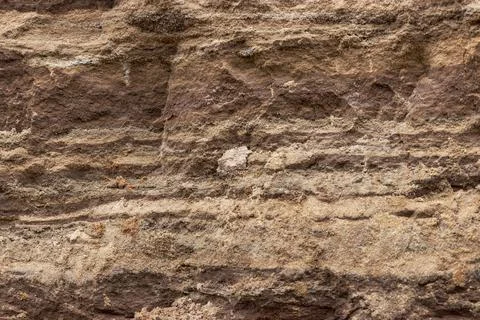 Soil on the ground as texture and background. Stock Photos