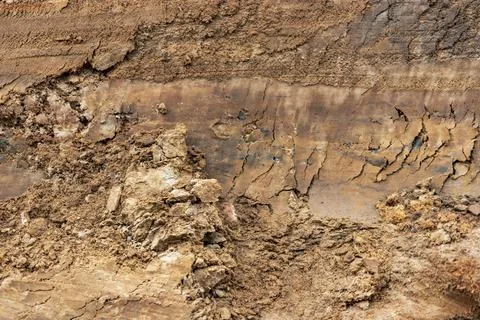 Soil on the ground as texture and background. Stock-Fotos