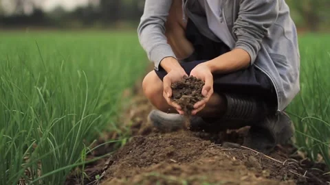Soil in hand of farmer Video stock 147572633