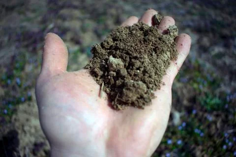 Soil in hand Stock Photos