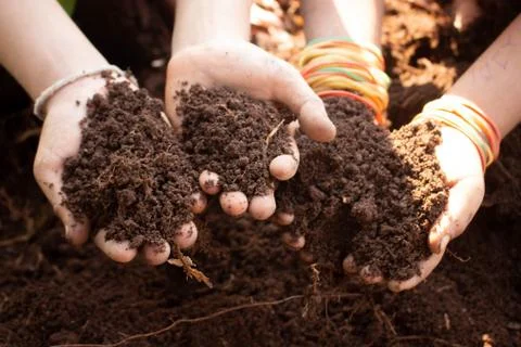 Soil in hand Stock Photos