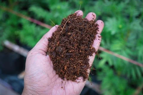 Soil in hand Stock Photos