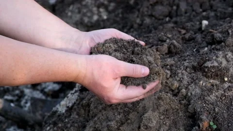 Soil in hand for planting, testing ground Stock Footage 89259799
