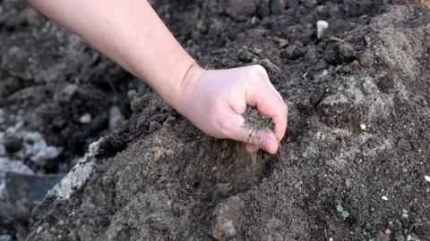 Soil in hand for planting, testing ground Vídeo Stock 89260119