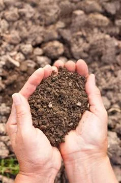 Soil in hands Stock Photos
