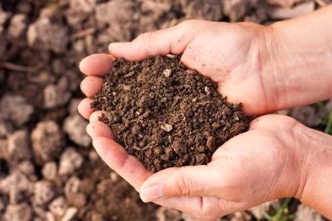 Soil in hands Stock Photos