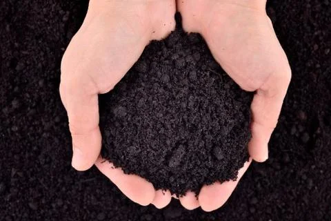 Soil in hands Stock Photos