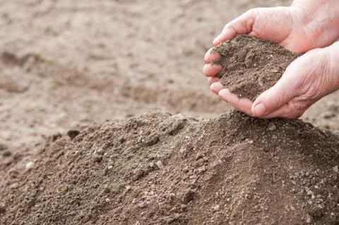 Soil in hands Stock Photos