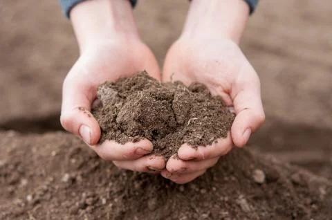Soil in hands Stock Photos