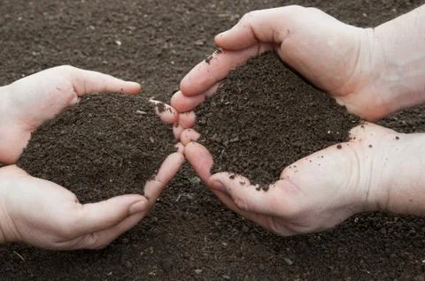 Soil in hands Stock Photos