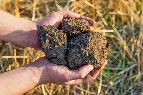 Soil in hands Stock Photos