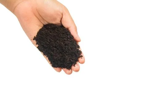 Soil in hands on white background Stock Photos