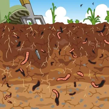 Soil Stock Illustration