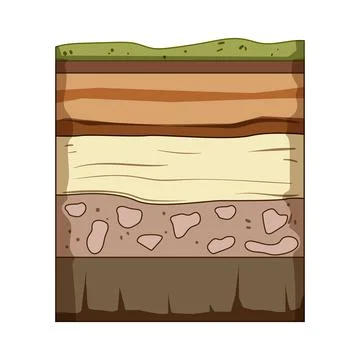 Soil layers cross section showing ground horizons and bedrock Stock Illustration