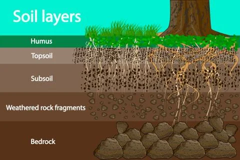 Soil layers. Diagram for layer of soil. Stock Illustration