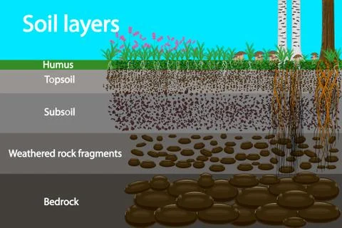 Soil layers. Diagram for layer of soil. Stock Illustration