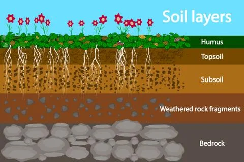 Soil layers. Diagram for layer of soil. Stock Illustration