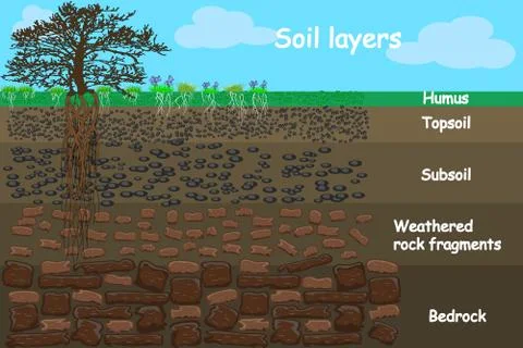 Soil layers. Diagram for layer of soil. Stock Illustration