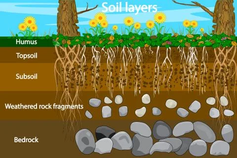 Soil layers. Diagram for layer of soil. Stock Illustration